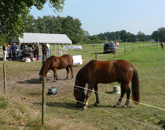 we zouden 's op hún voedsel moeten gaan ballen ...