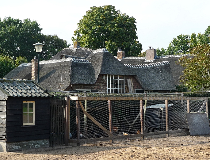 de zeven linden aan de angerechtsweg met daarvoor de voormalige atelierwoning plus de kippenren van nico de jong
