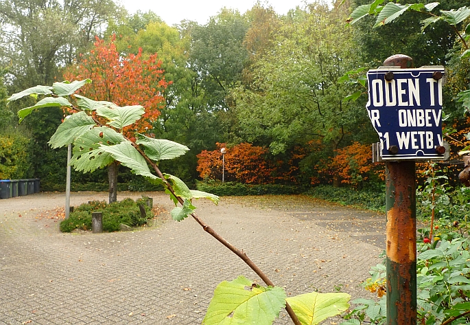 ergens in de bijvanck
