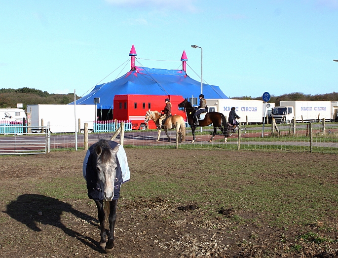 geen dieren, wel acrobatiek, clowns en illusie