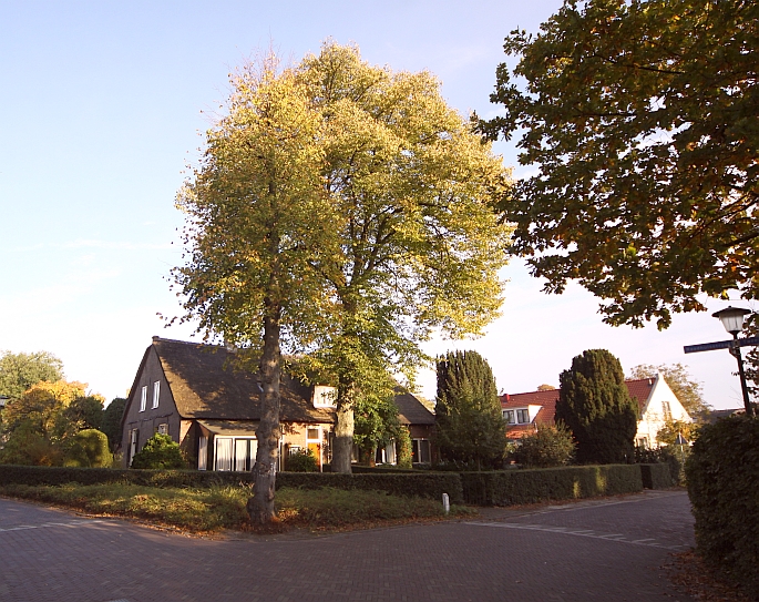 raadhuisstraat/eemnesserweg