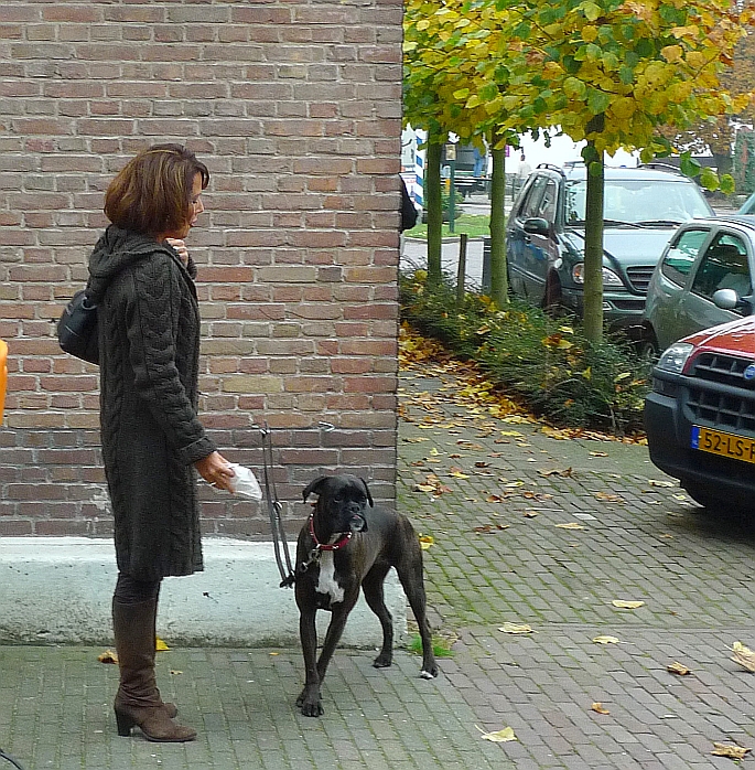 live from de vishandel aan de meentweg