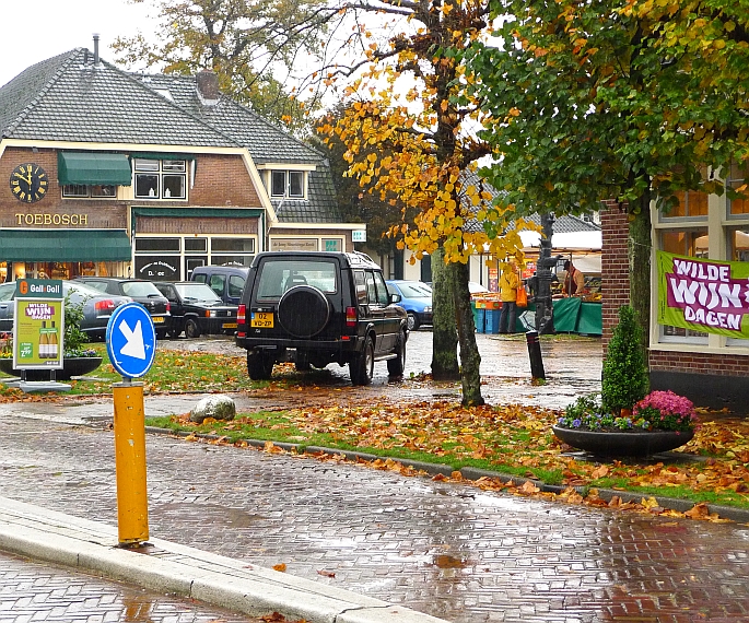 torenlaan; niet vandaag, maar toch
