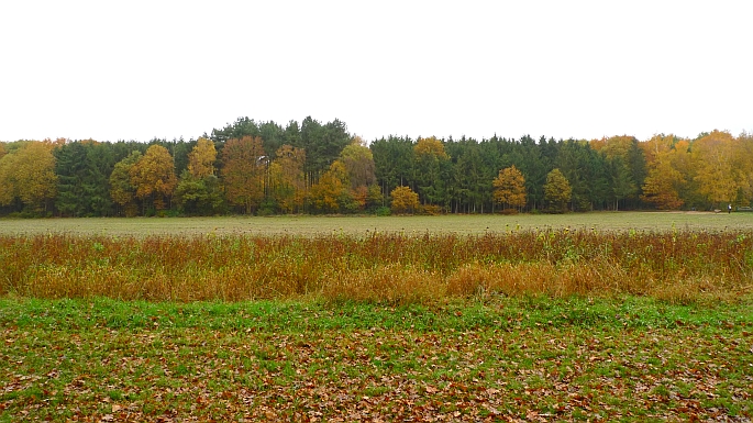 huidige situatie huidige situatie