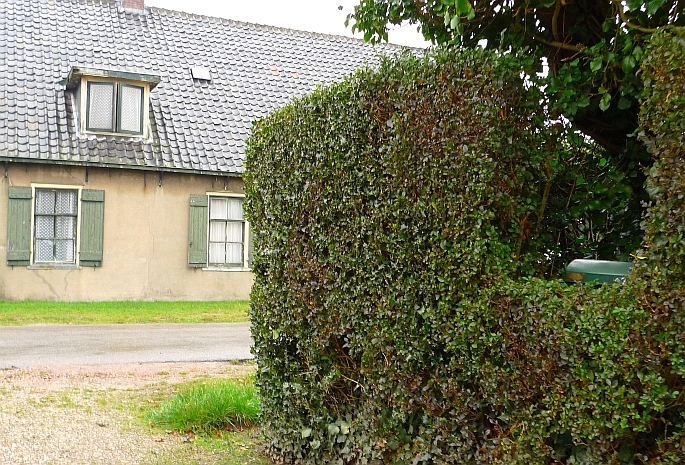 schapendrift