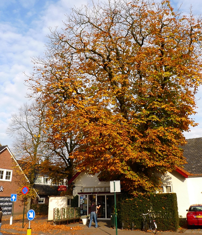 ijssalon de hoop, huizerweg