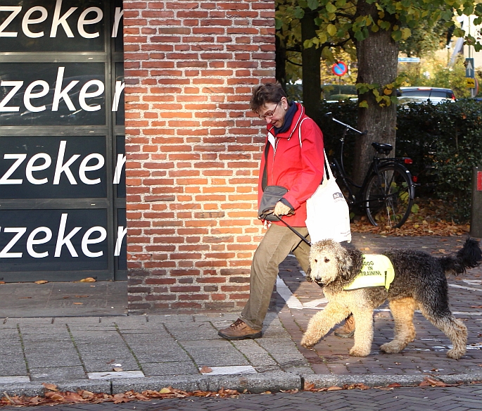 die doet z'n best ...