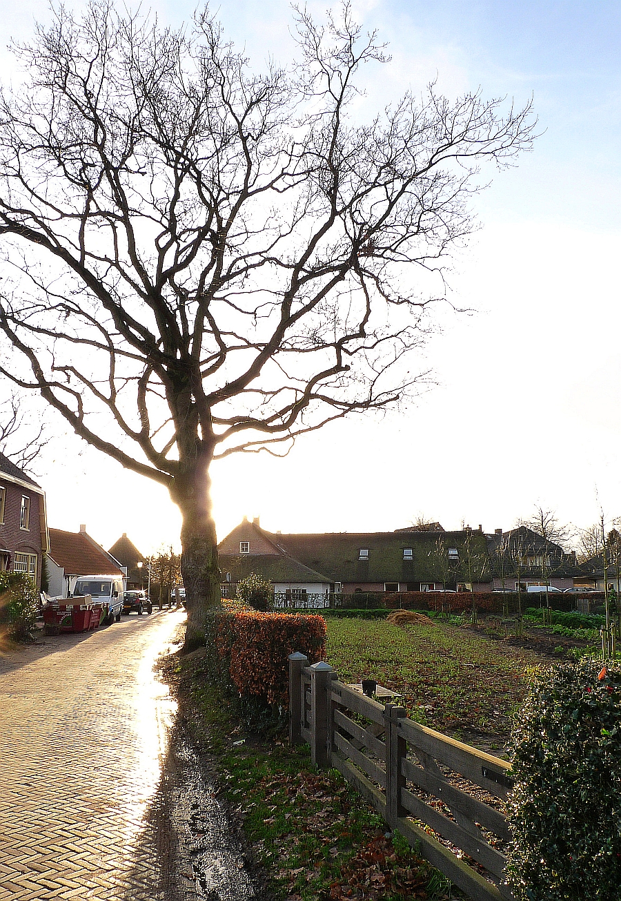 angerechtsweg