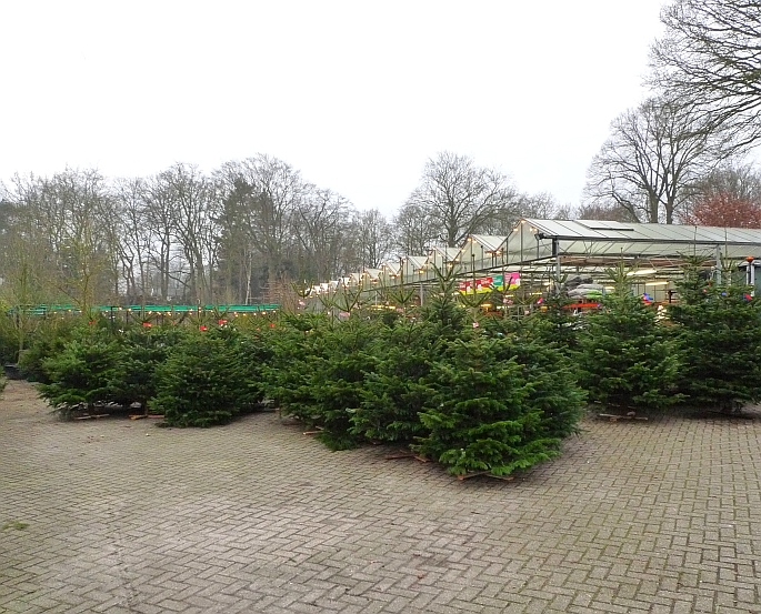 tuincentrum calis
