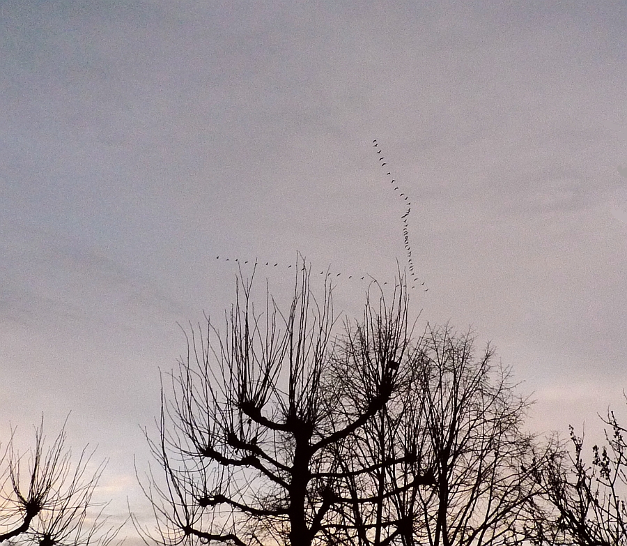 08.45 uur