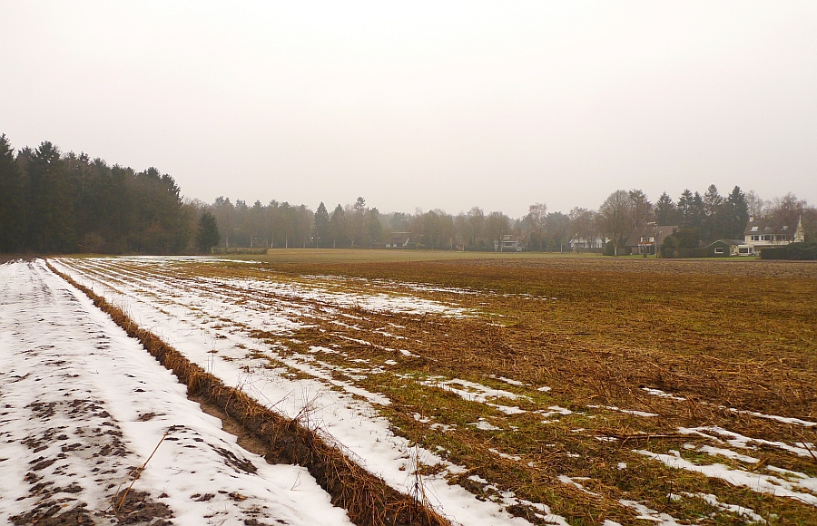 11:50 uur; zondag 7 februari 2010