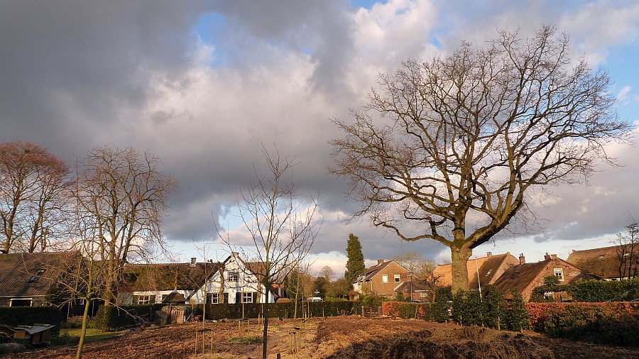 akkertje aan burg. heerschopweg/angerechtsweg