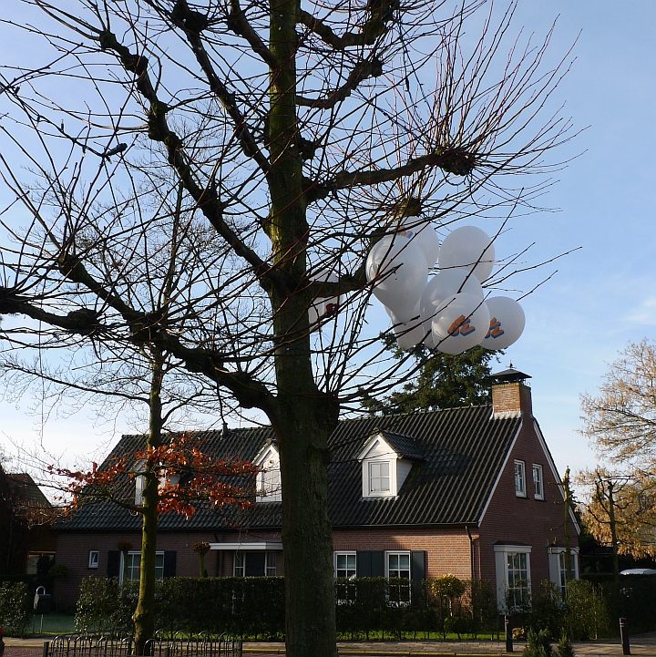 het aanbrengen van politieke uitingen in, op, aan of in de directe omgeving van stemlokalen is verboden