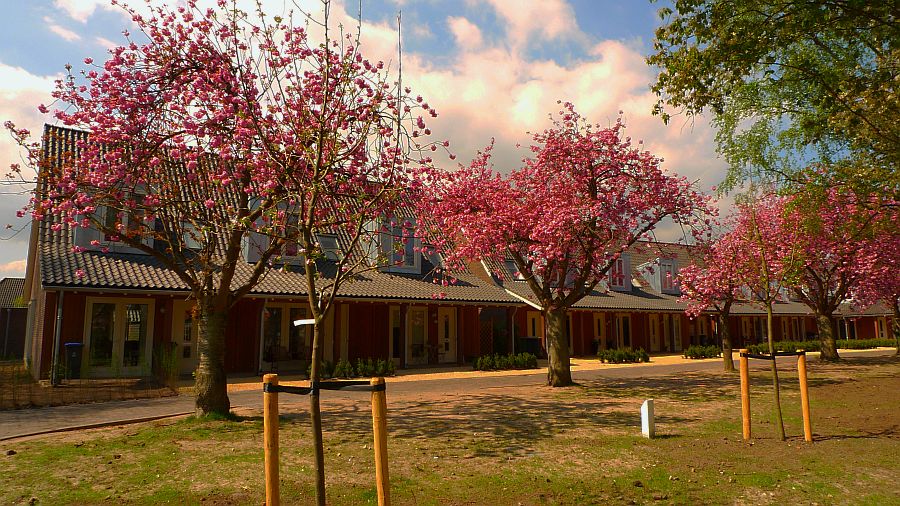 wethouder de klerkhof