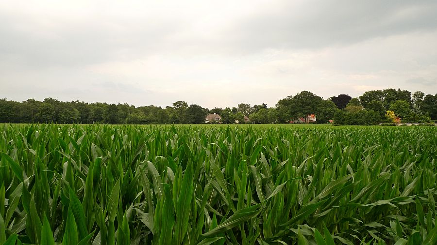 vanaf huizerweg richting bergweg