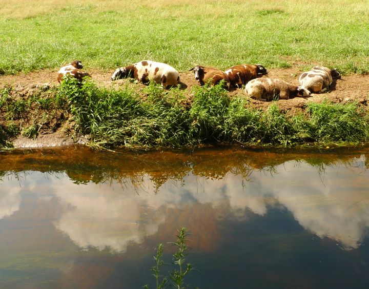 bij de gooiyjergracht