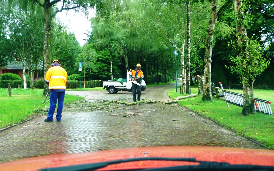 11:50 u; bussummerweg