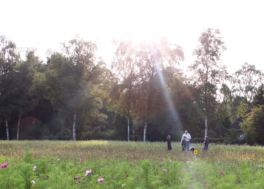 .... het rooien van de aardappeltjes, luisterden de ouders naar ...