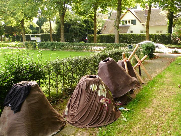 bij oranjeweitje