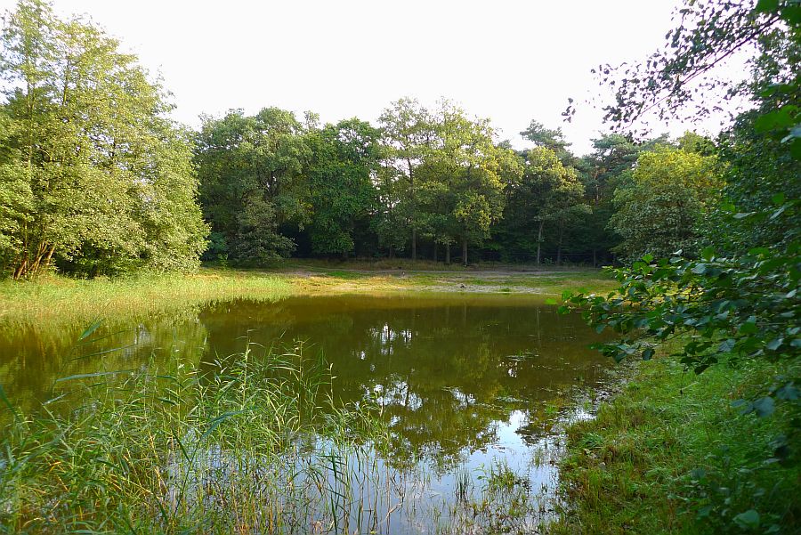 gezien vanuit laren