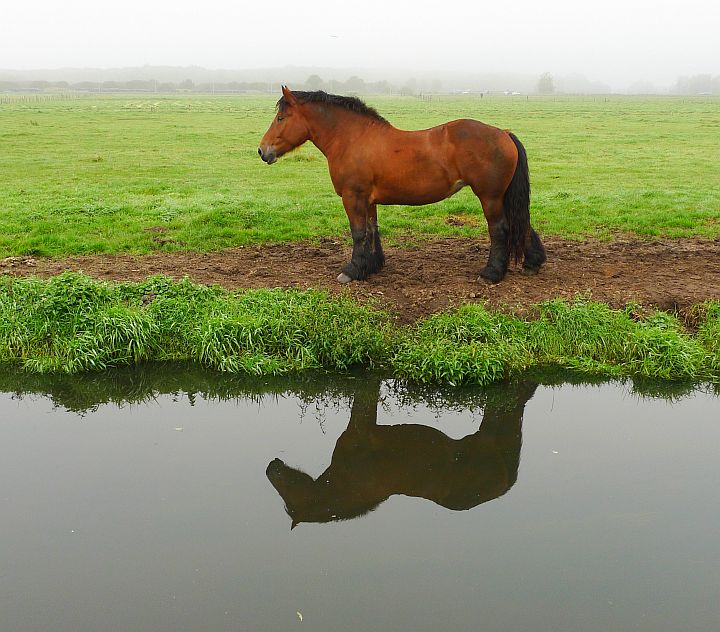 in voorheen de gooise meent bij de gooijergracht