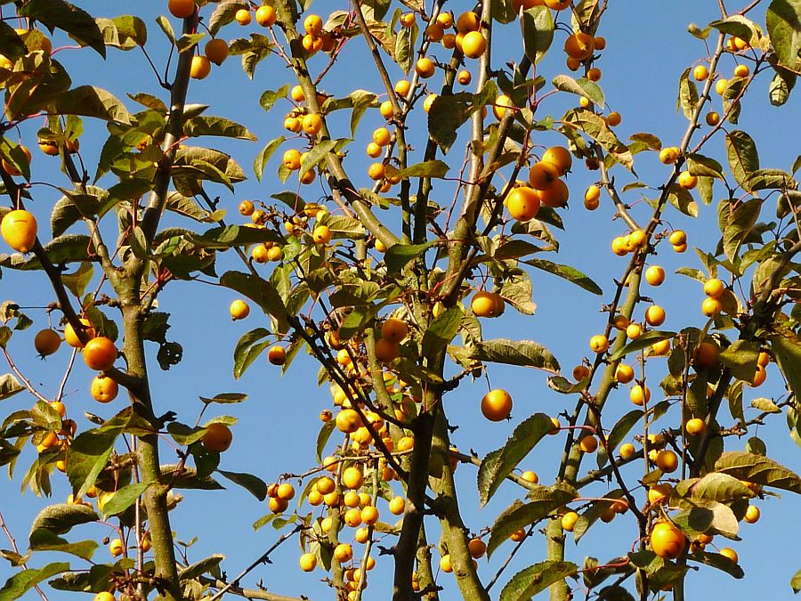 eemnesserweg/kuijerpad, wat het is???