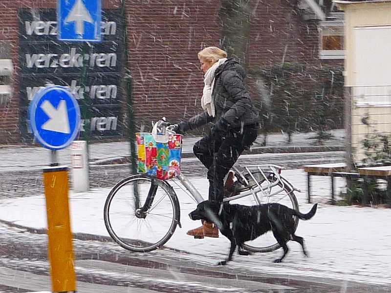 ok, gauw naar huis