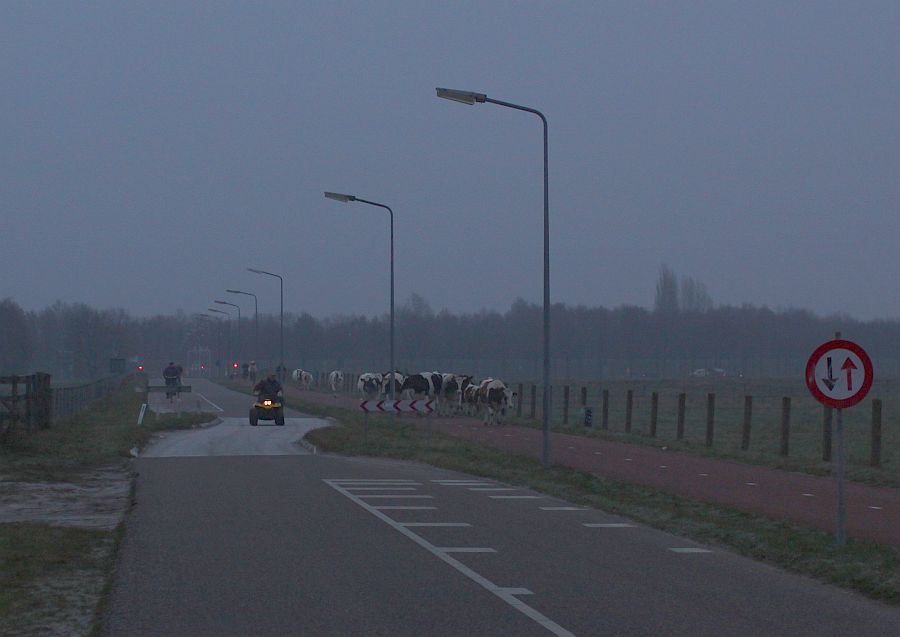 08:10 uur; start bij 't vette dijkje aan de blaricummerweg