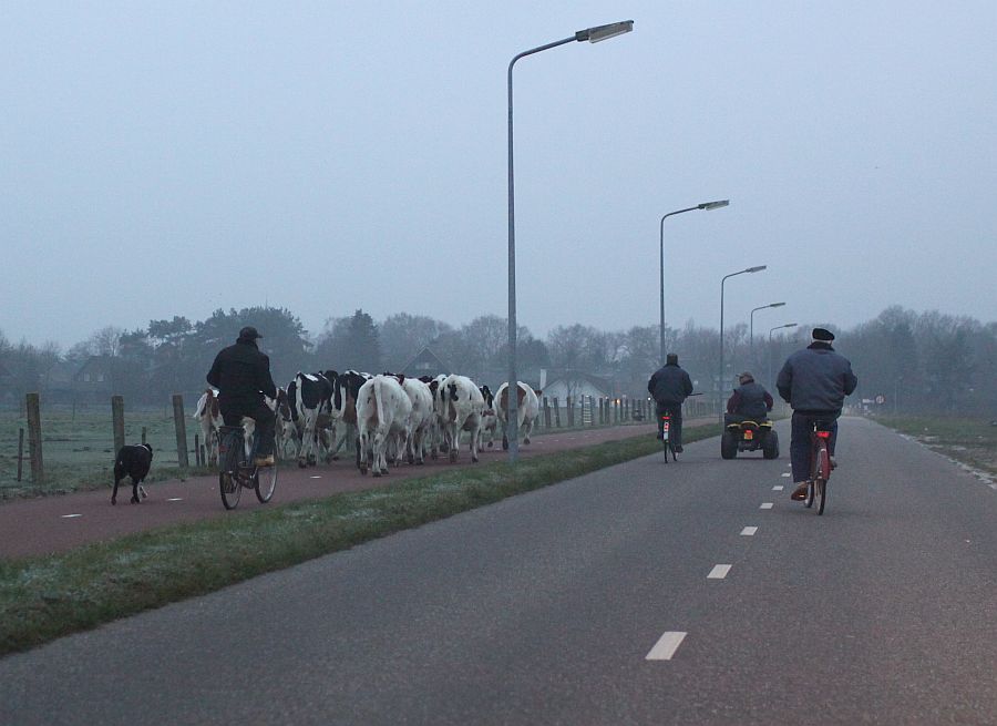 richting Dorp