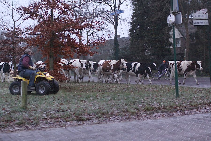 gaat goed