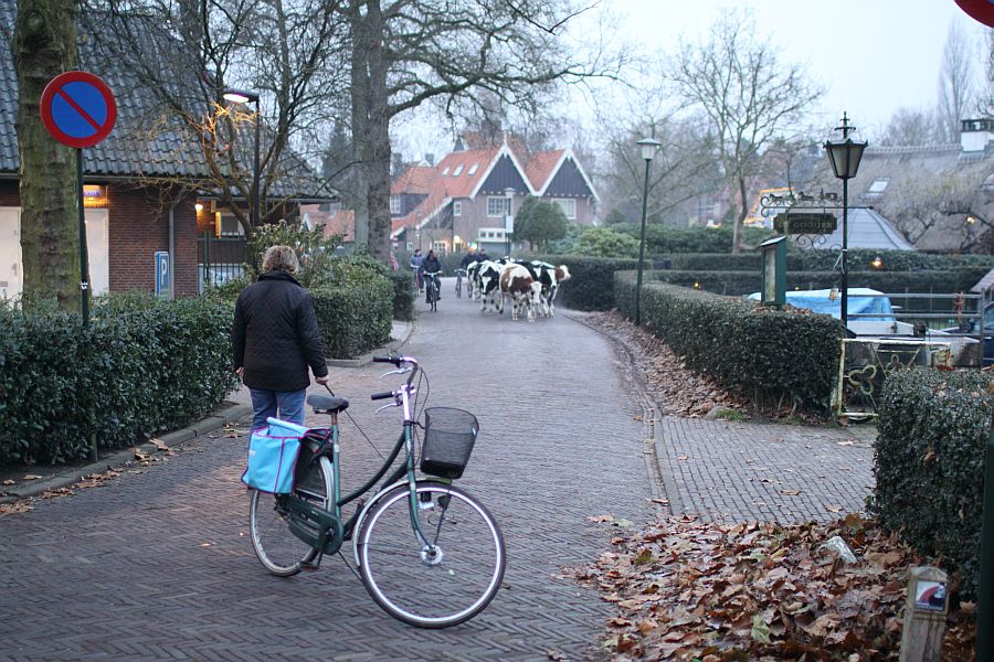 08:20 uur; langeweg, thea wacht ze op