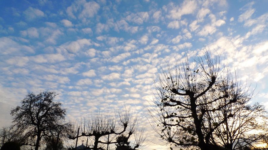 16:35 uur, zuidwaards