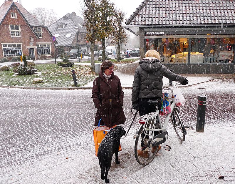 bijkwekje moet kunnen - zou de hond dat ook vinden?