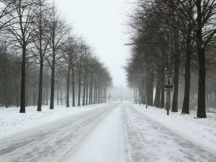 11:00 uur; stichtseweg
