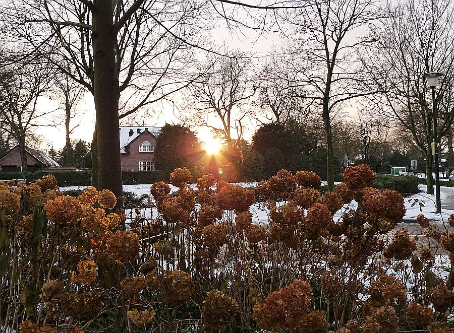 hortensia's verbindingsweg, paardenweitje, zijkant torenlaan 13