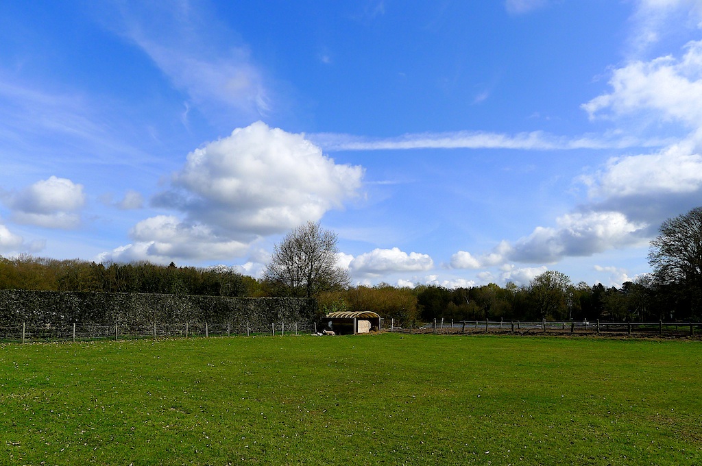 'weitje van budje' t.o. bellevue