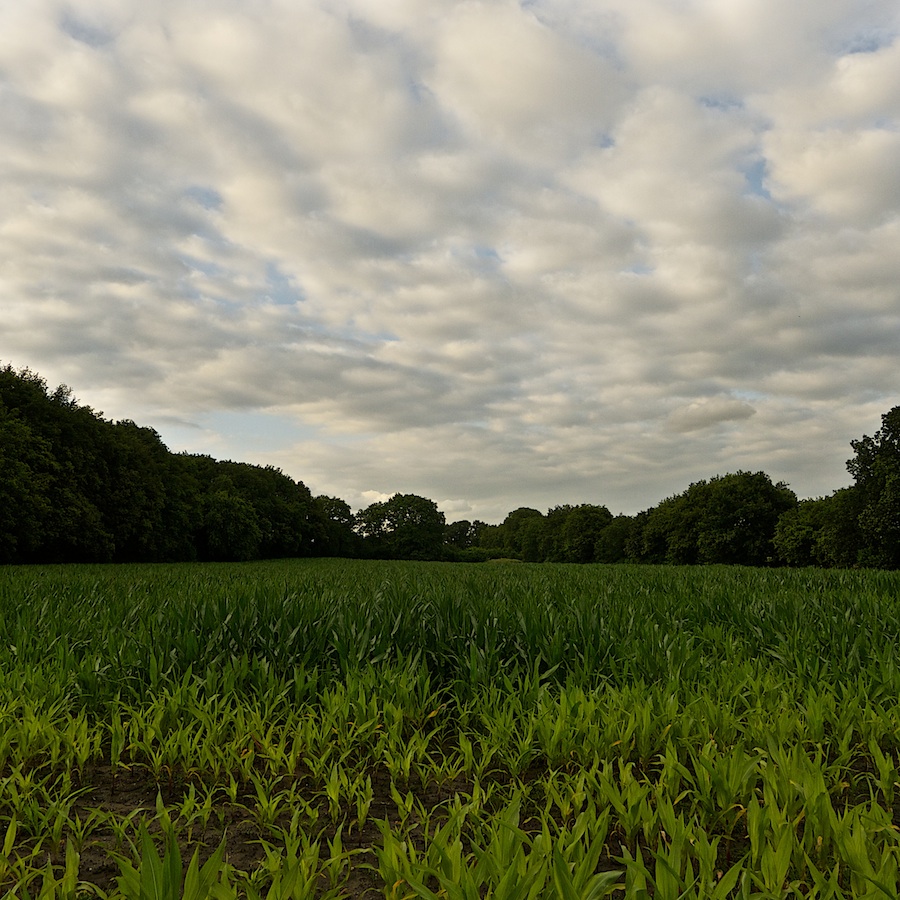 asb-akker naast woensberg-begraafplaats
