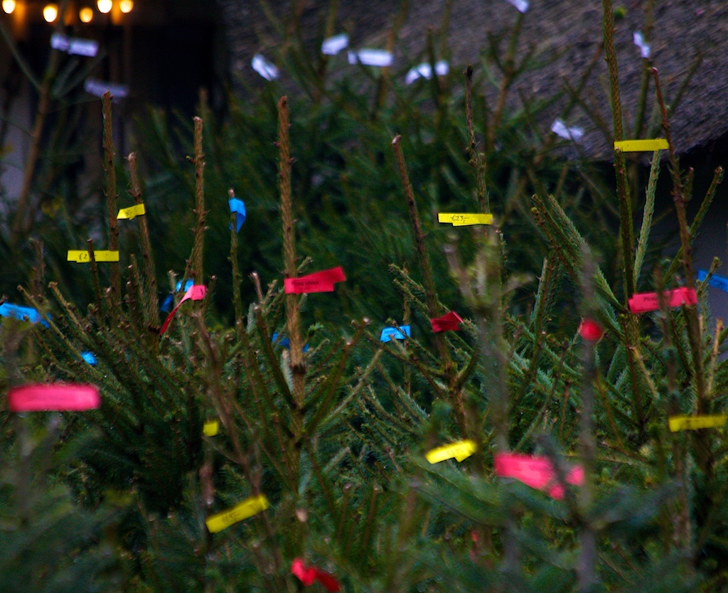 kerstbomen bij de meelmuis