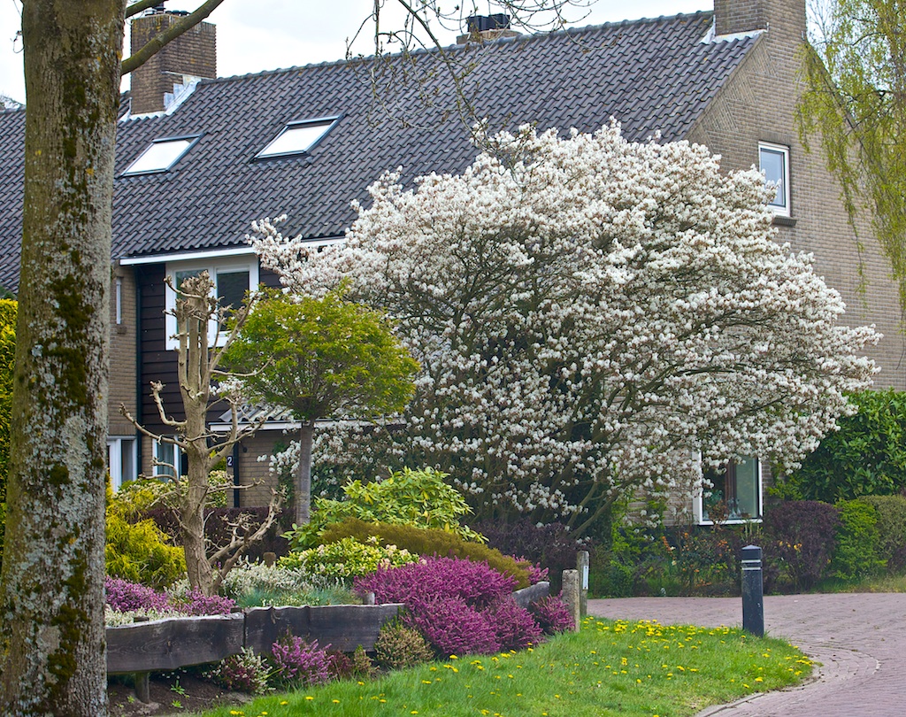 bouwvenen - elbertsveen/evenaar