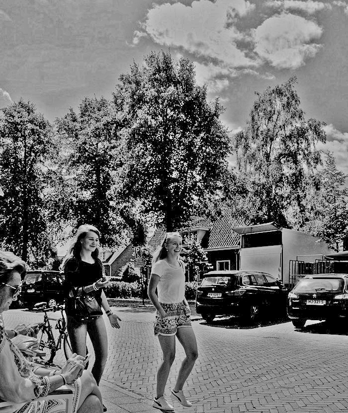 2chickdorpsstr - 1bw