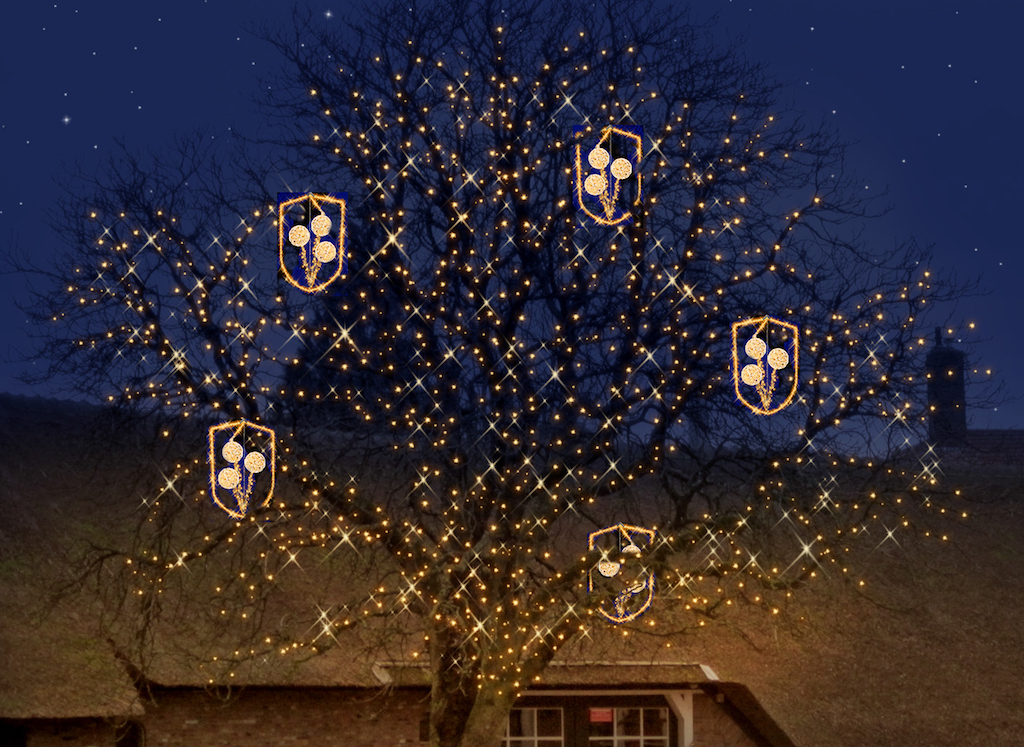 Blaricum - Boomverlichting-7