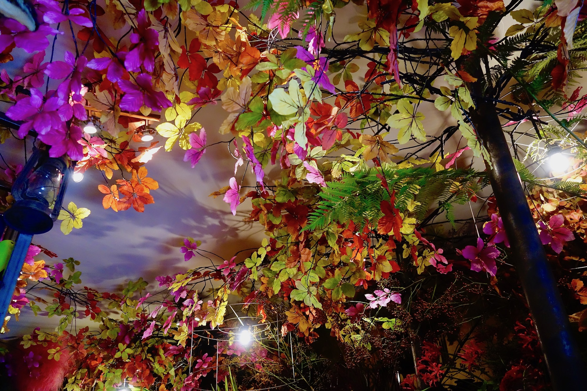 Hoog Sammy, kijk omhoog Sammy … – Oog op Blaricum