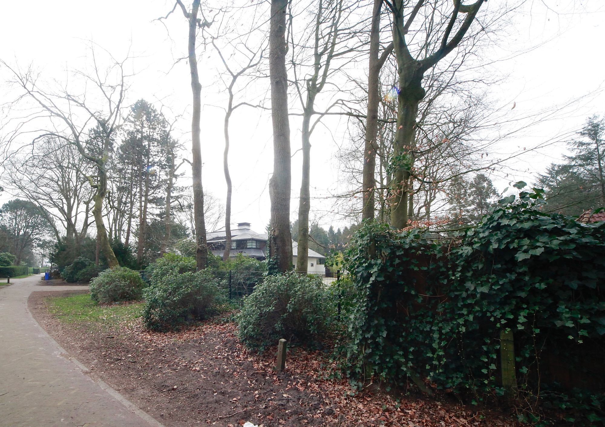 capittenweg22c-36boom - 1