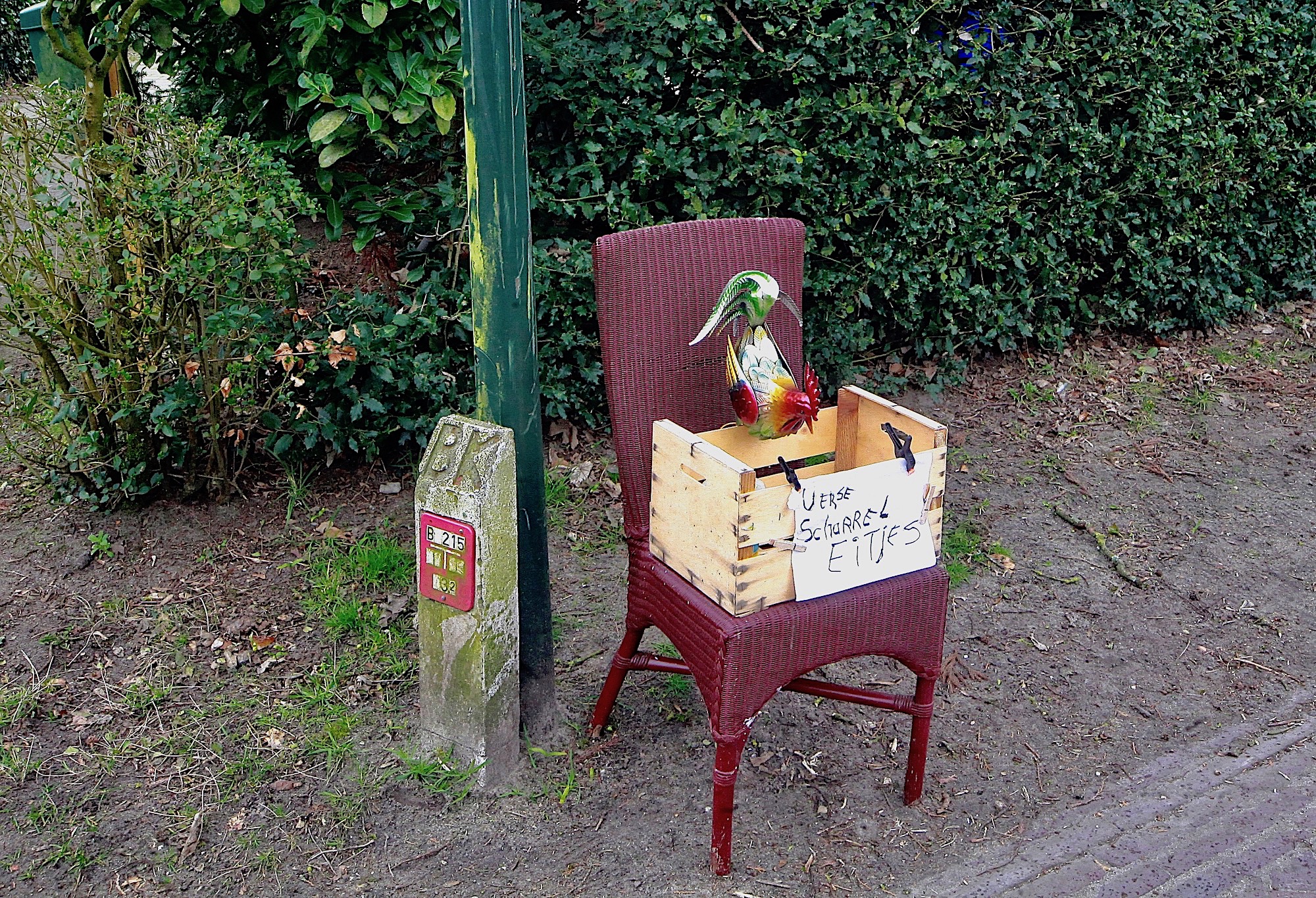 scharrelei-capwg47 - 1