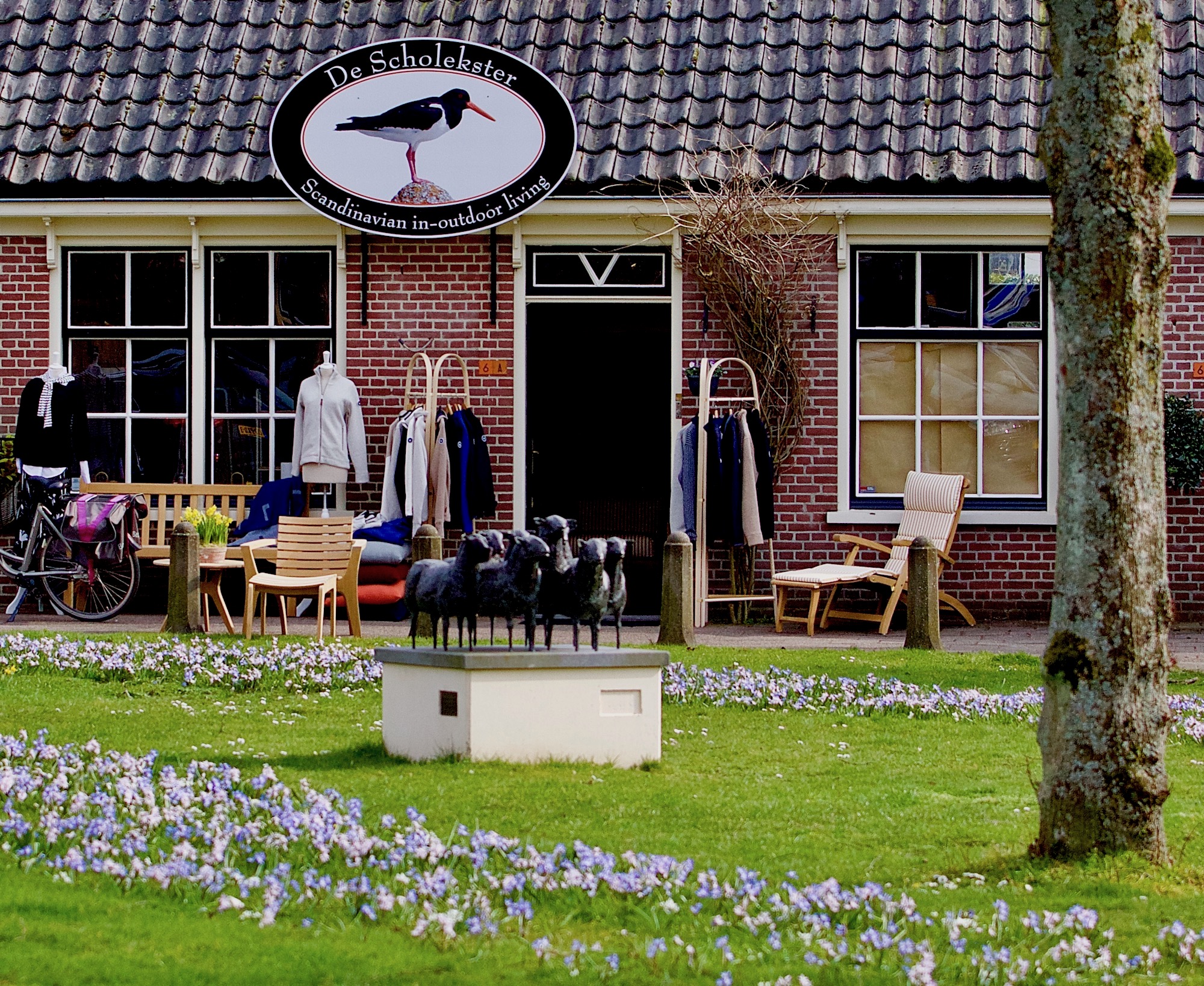 scholeksterstoelen - 1