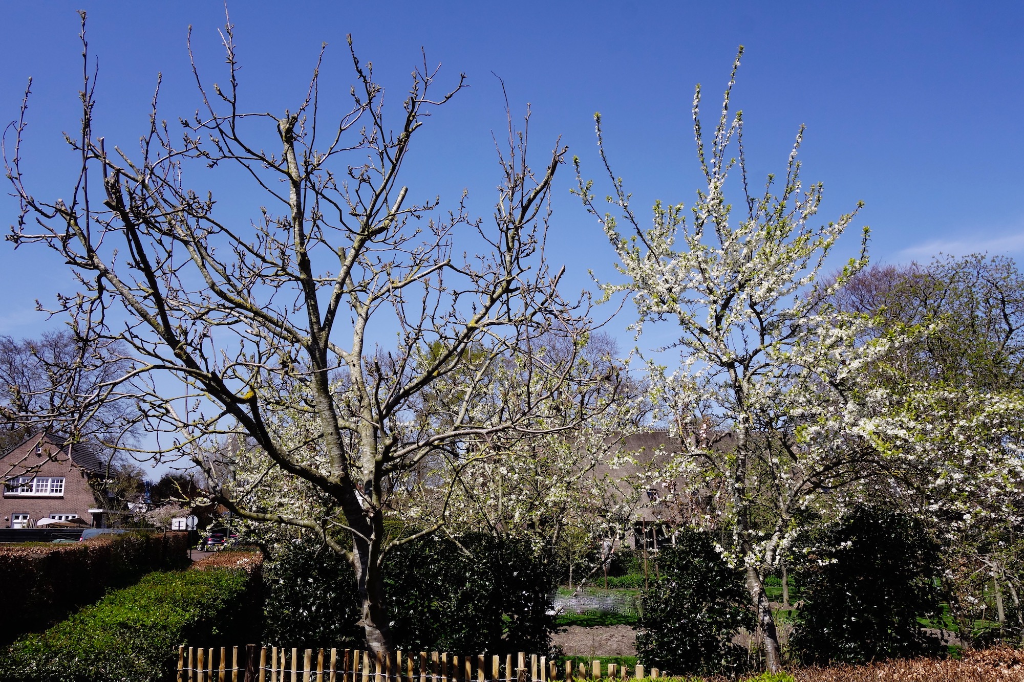 akkertjepeter1 - 1 (1)