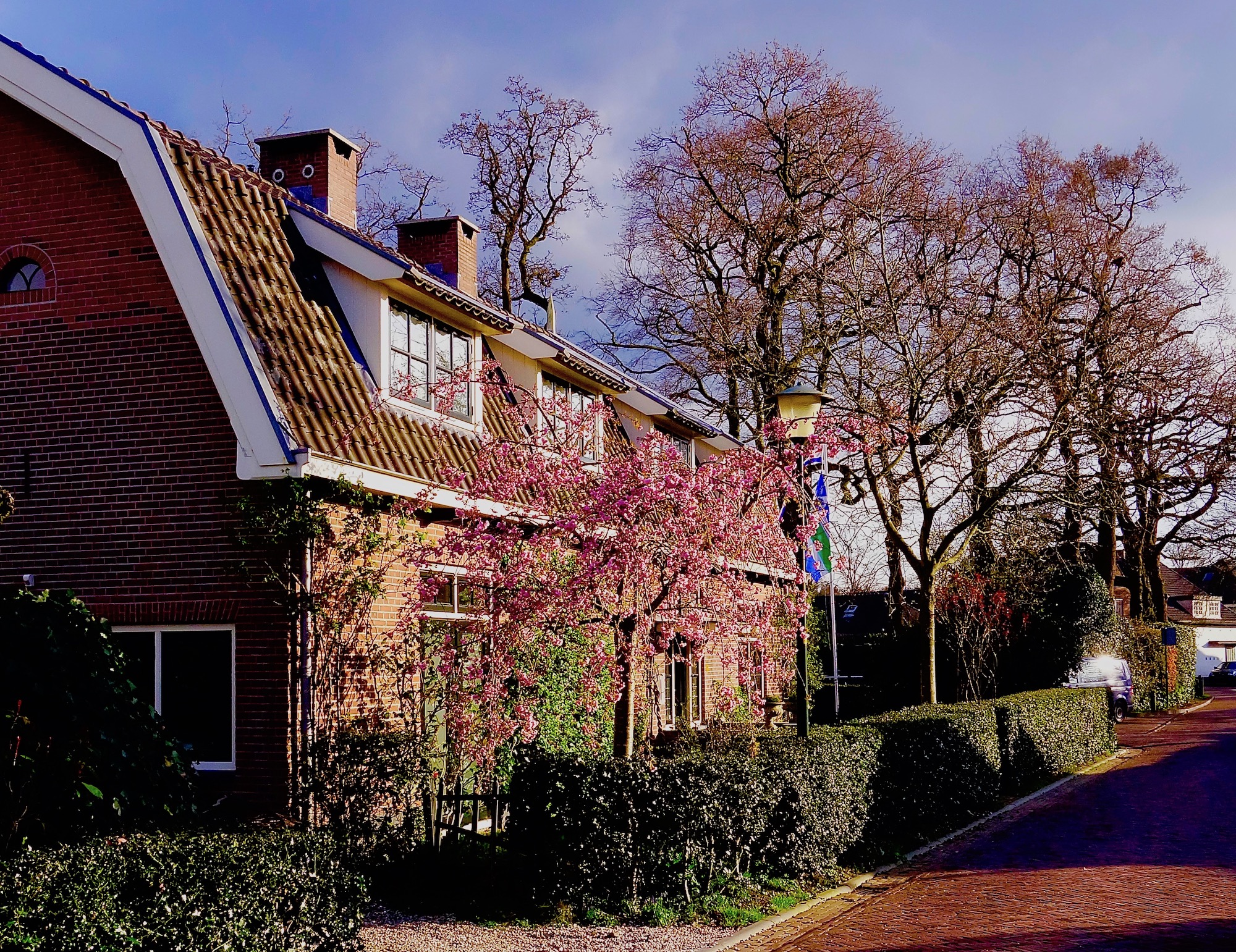 avondzon-bijenman - 1
