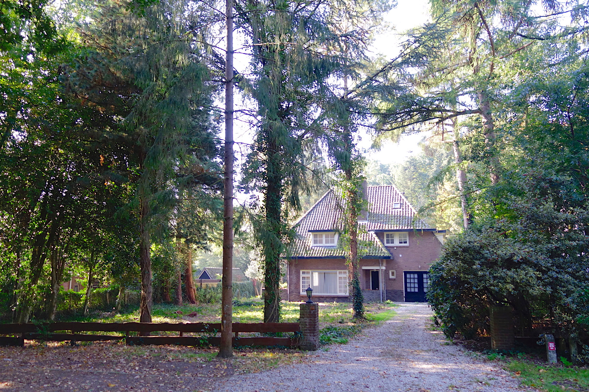 bierweg17 - 1