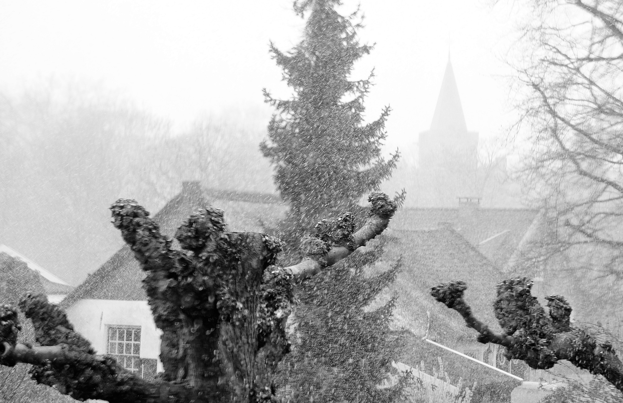 paassneeuw4 - 1