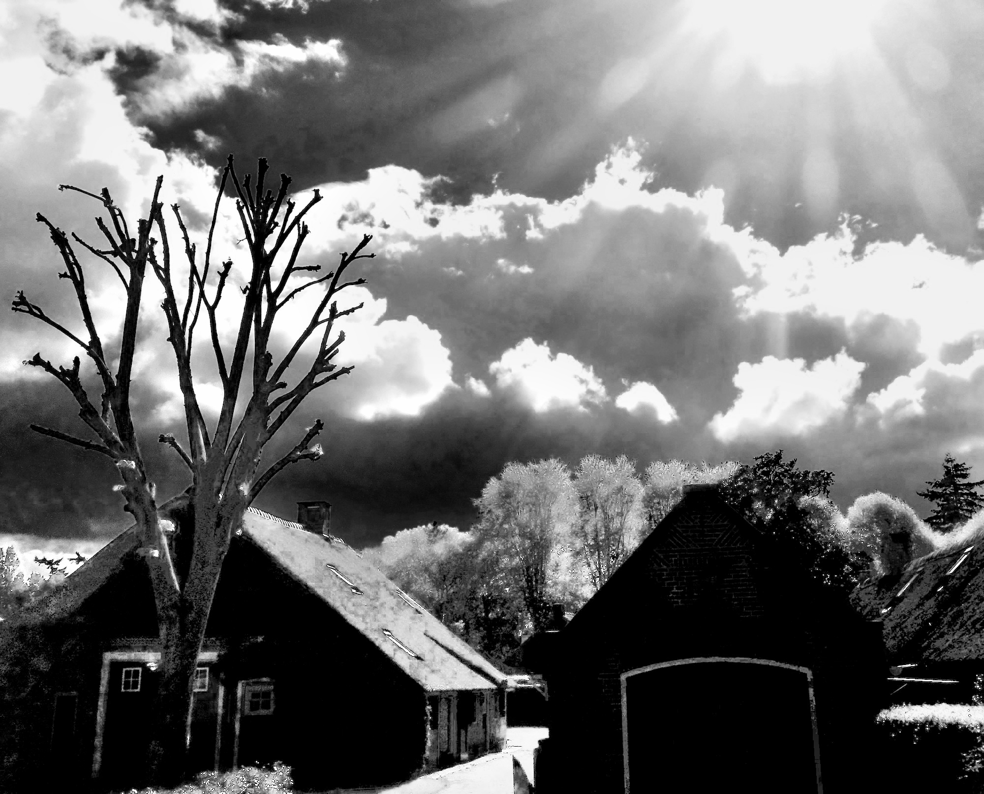 henk-backlite-crop - 1bw3